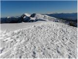 Planina Zajavornik - Debeli vrh above Lipanca